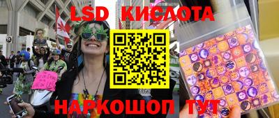 PSILOCYBIN Краснодар